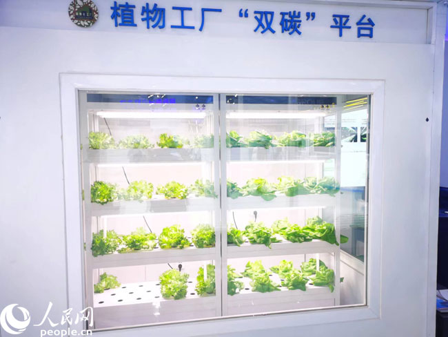 財經觀察 激發創新源頭活力，科技賦能數字內容，讓生活更精彩